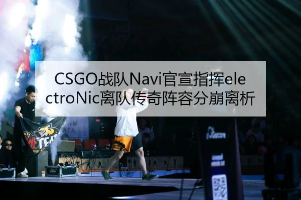 CSGO战队Navi官宣指挥electroNic离队传奇阵容分崩离析