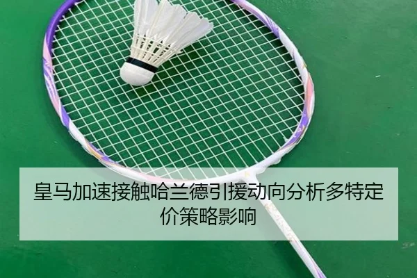 huang-ma-jia-su-jie-chu-ha-lan-de-yin-yuan-dong-xiang-fen-xi-duo-te-ding-jia-ce-lve-ying-xiang-3-316.jpg
